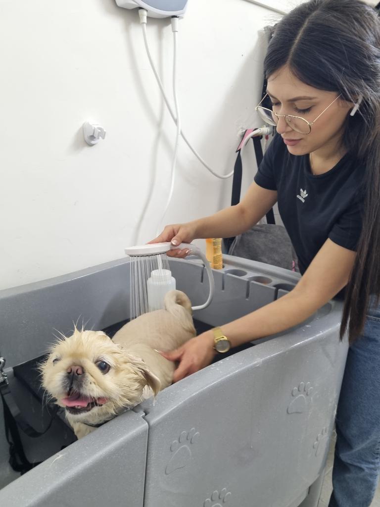 בוביק וג'ון בוביק וג'ון