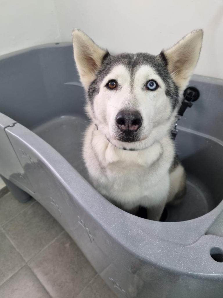 בוביק וג'ון בוביק וג'ון