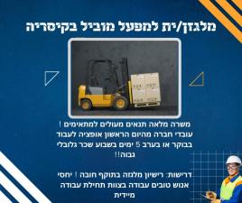 אזיקרי משאבי אנוש בע"מ