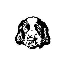 Dog's & Us