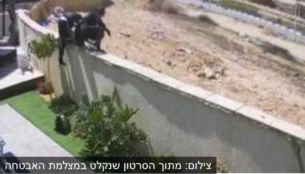 שלו התקשורת שלו התקשורת