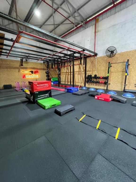 סטודיו אמזונה סטודיו אמזונה