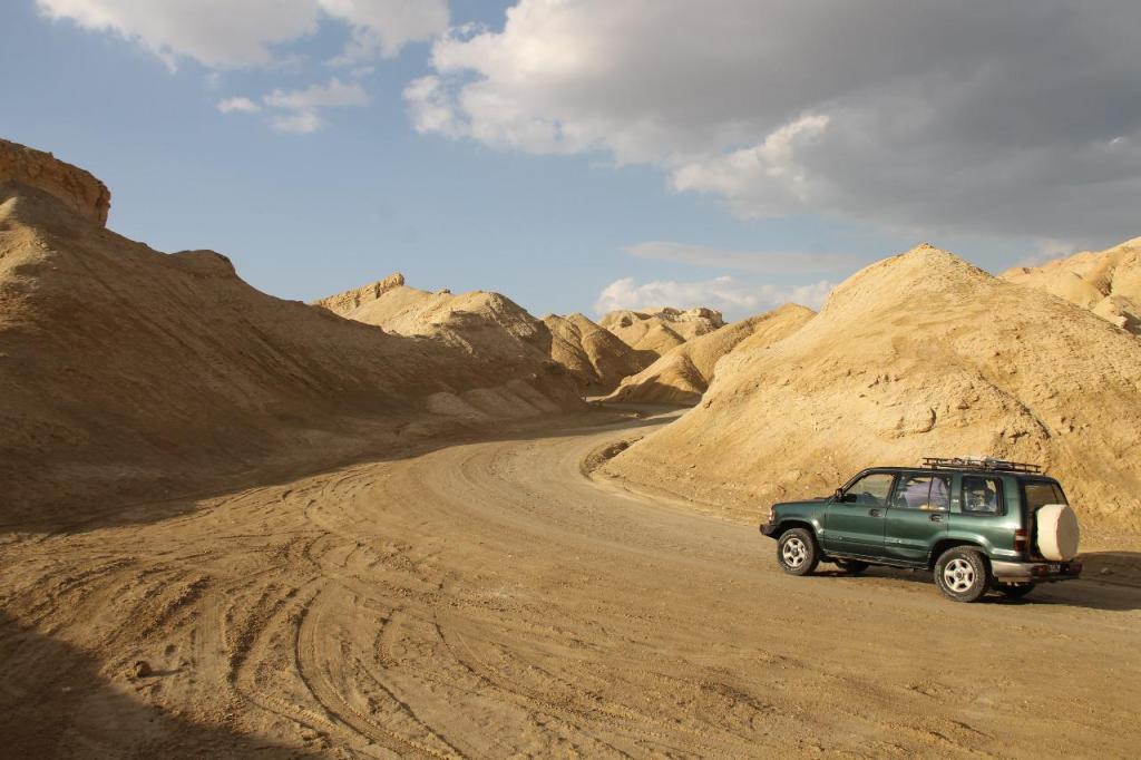 סברס טיולי מדבר סברס טיולי מדבר