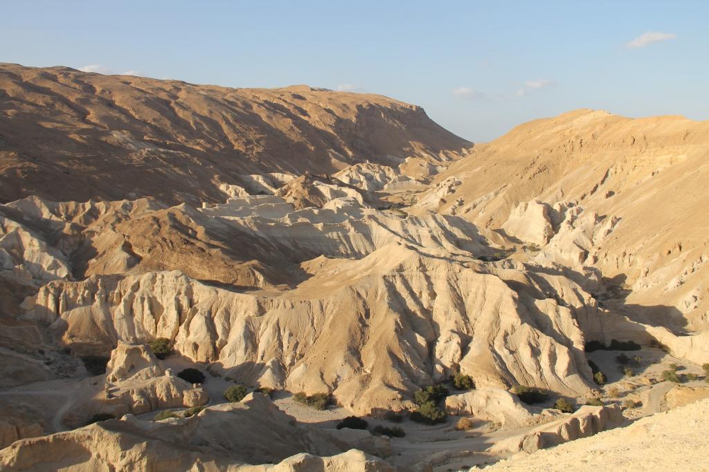 סברס טיולי מדבר סברס טיולי מדבר