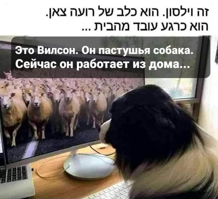 יוקלגרופ יוקלגרופ