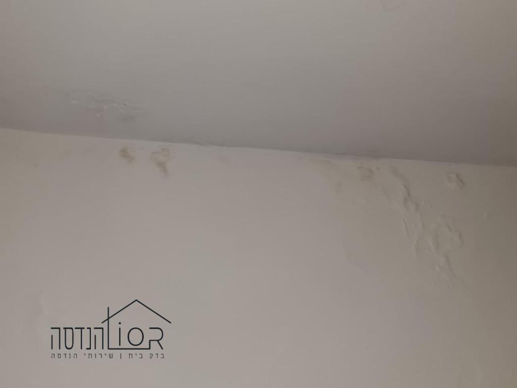 ליאור הנדסה ליאור הנדסה