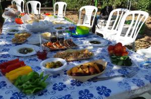 שמיים פתוחים בחרמון