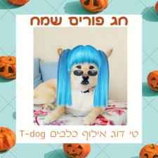 טי דוג