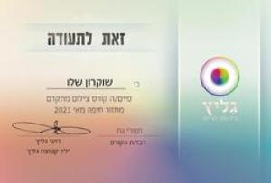 Shalev Photogram