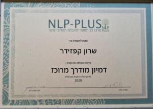 שרון קפזידר NLP