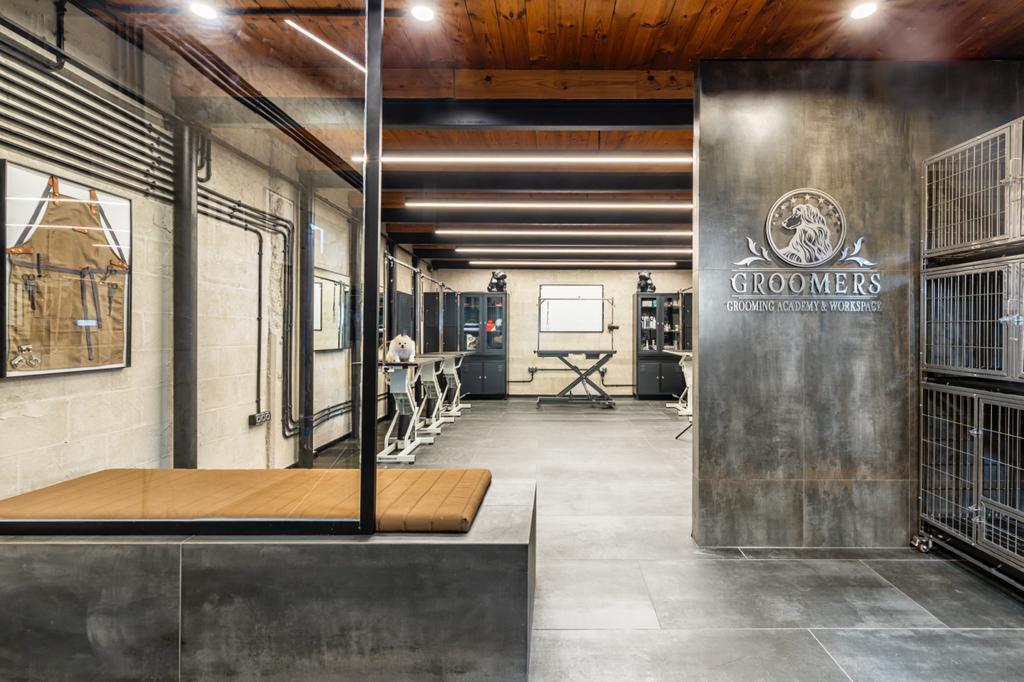 סיזרס דוגס סיזרס דוגס