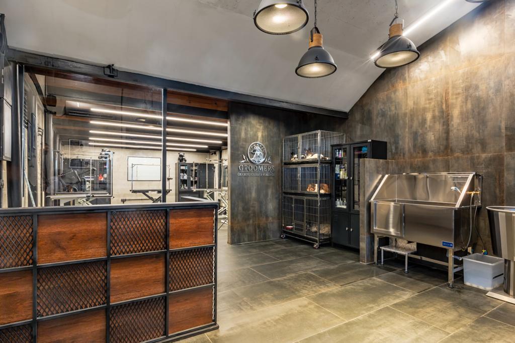 סיזרס דוגס סיזרס דוגס