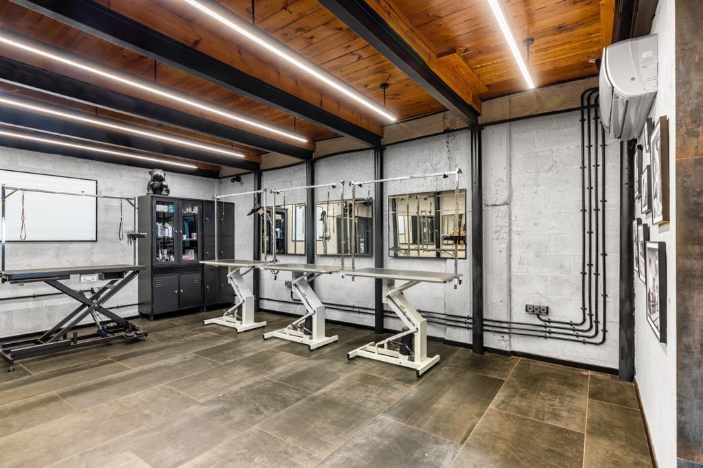 סיזרס דוגס סיזרס דוגס