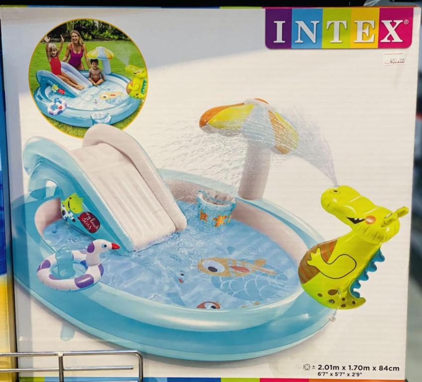 טיביס טיביס