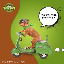 חנות חיות only pets