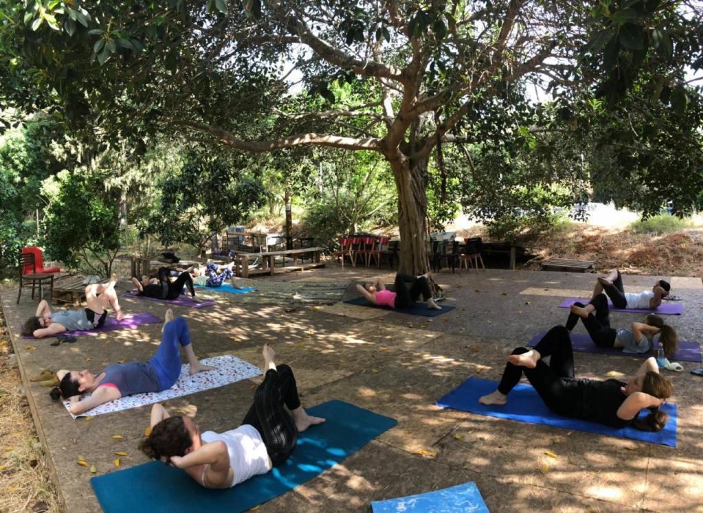סטודיו לפילאטיס אפרת סטודיו לפילאטיס אפרת