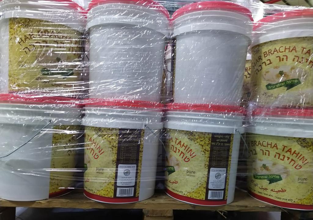 מוסדי פה מוסדי פה