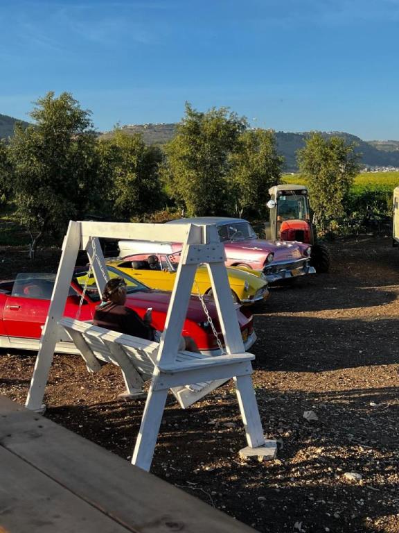 מסיק בוטיק כפרי מסיק בוטיק כפרי