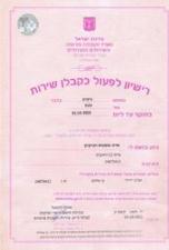 ארט אומנות הניקיון