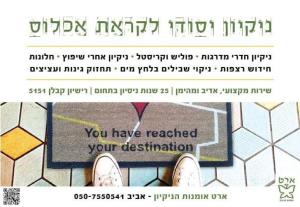 ארט אומנות הניקיון