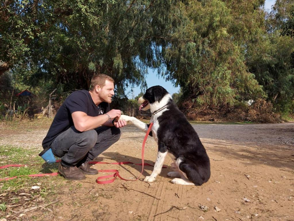יובל גרין יובל גרין