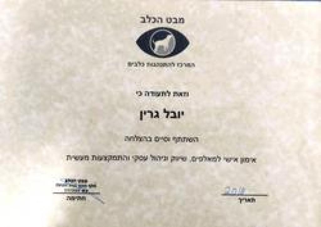 יובל גרין יובל גרין