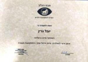 יובל גרין