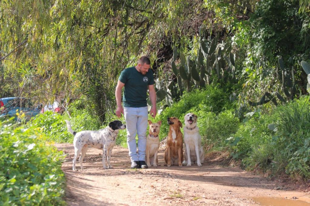 יובל גרין יובל גרין
