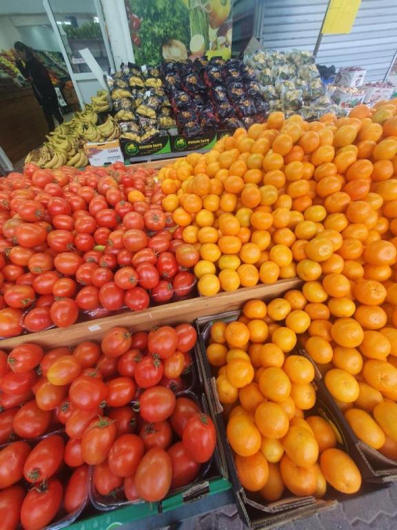 ברכת רפאל ברכת רפאל