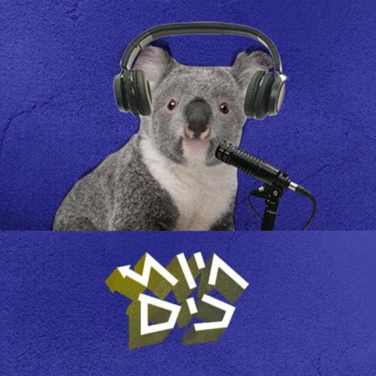 גברת שקשוקה גברת שקשוקה