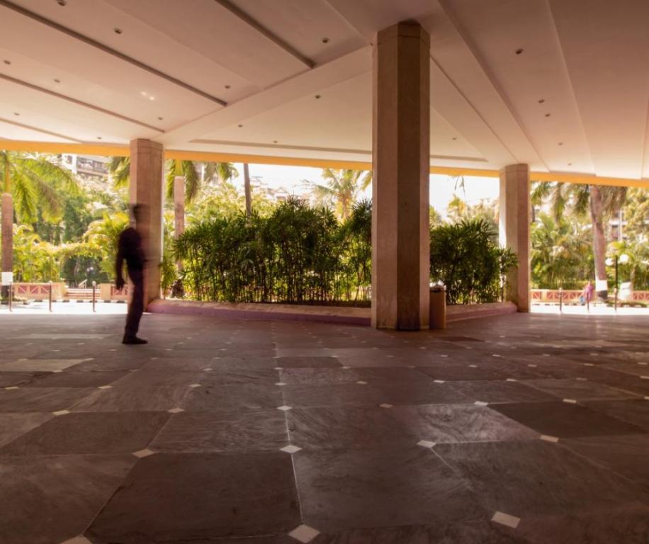 רועי מרציאנו בדק בית רועי מרציאנו בדק בית