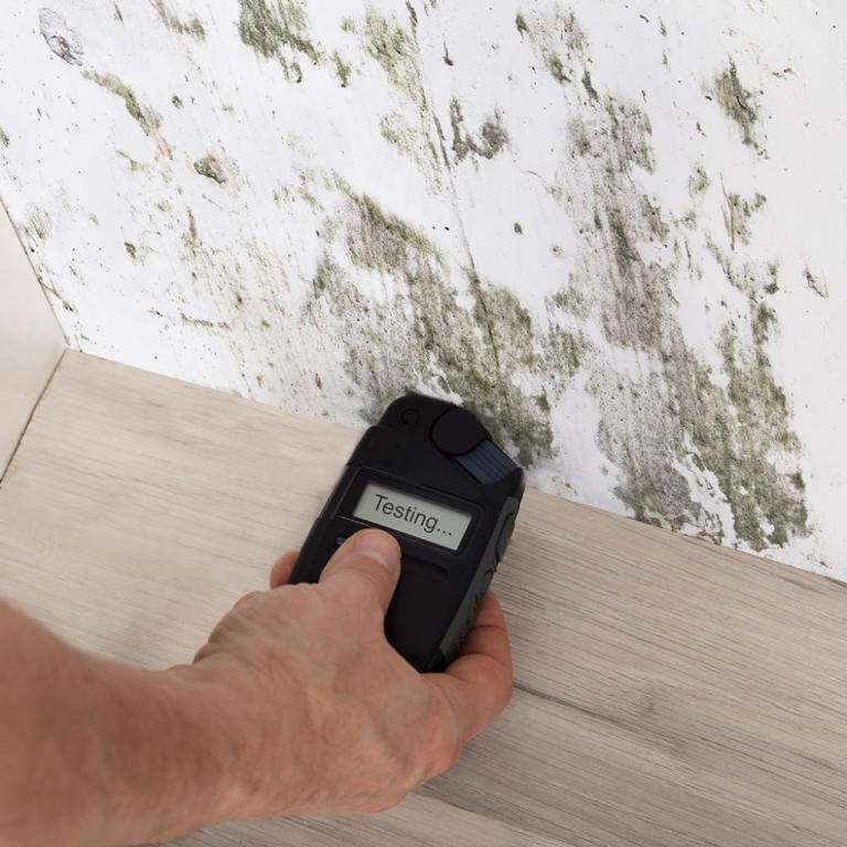 רועי מרציאנו בדק בית רועי מרציאנו בדק בית