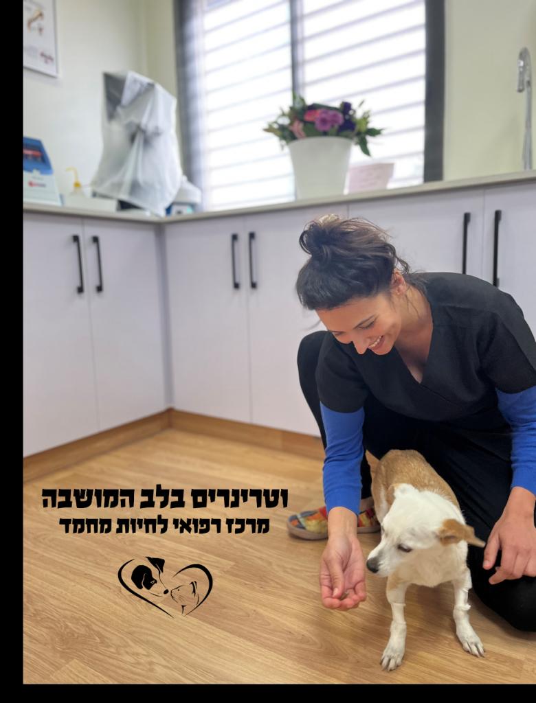 וטרינרים בלב המושבה וטרינרים בלב המושבה