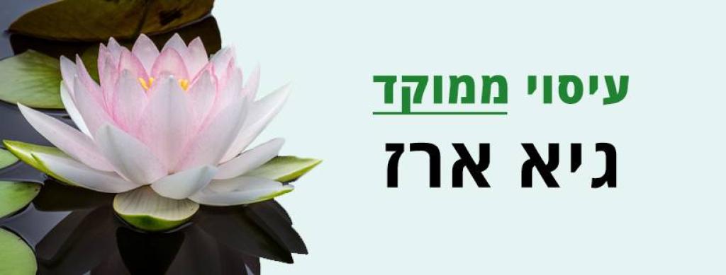 גיא ארז גיא ארז