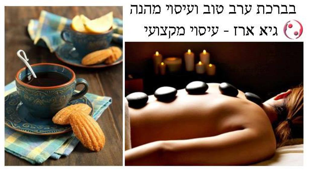 גיא ארז גיא ארז