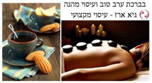 גיא ארז