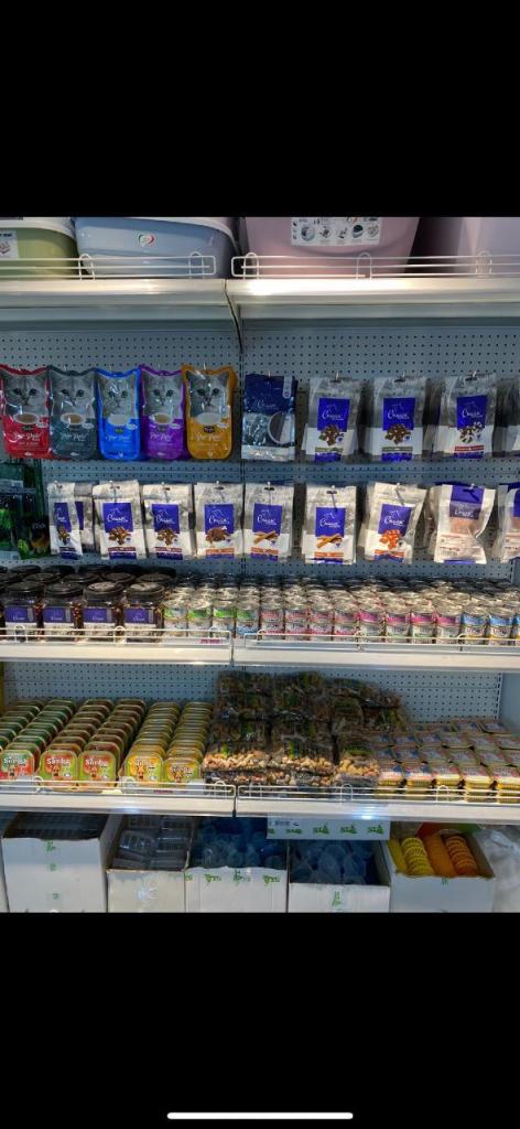 פט לנד פלוס פט לנד פלוס