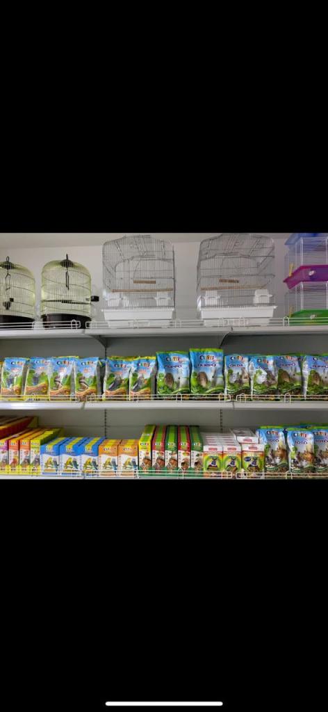 פט לנד פלוס פט לנד פלוס