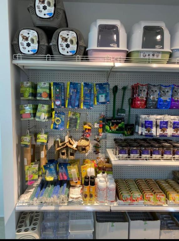 פט לנד פלוס פט לנד פלוס