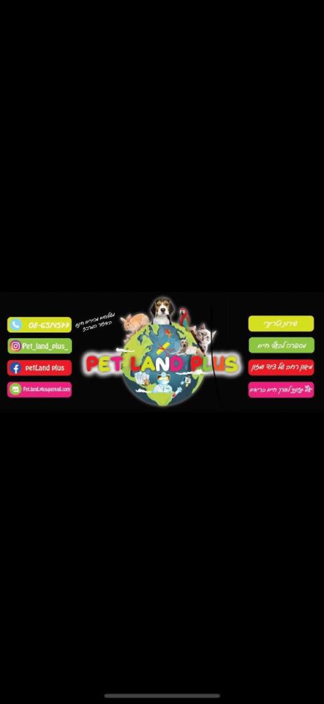 פט לנד פלוס פט לנד פלוס