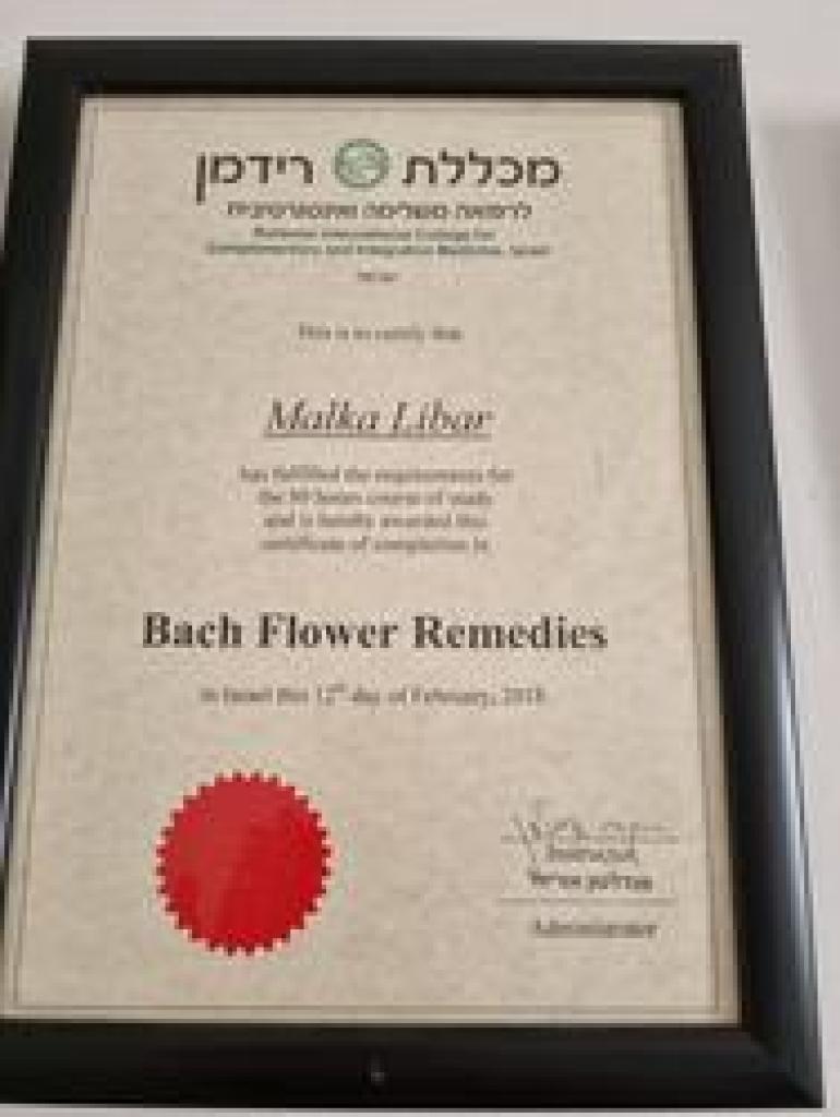 ליבר מלכה ליבר מלכה