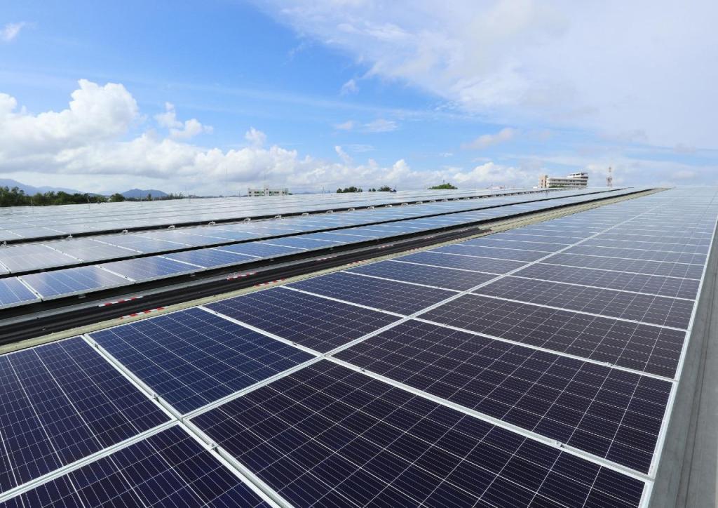 קורן סולאר פי וי בע"מ קורן סולאר פי וי בע"מ