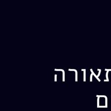 דיגיטל מנקיז