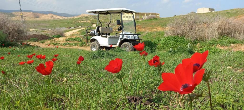 חוויה בבקעה חוויה בבקעה