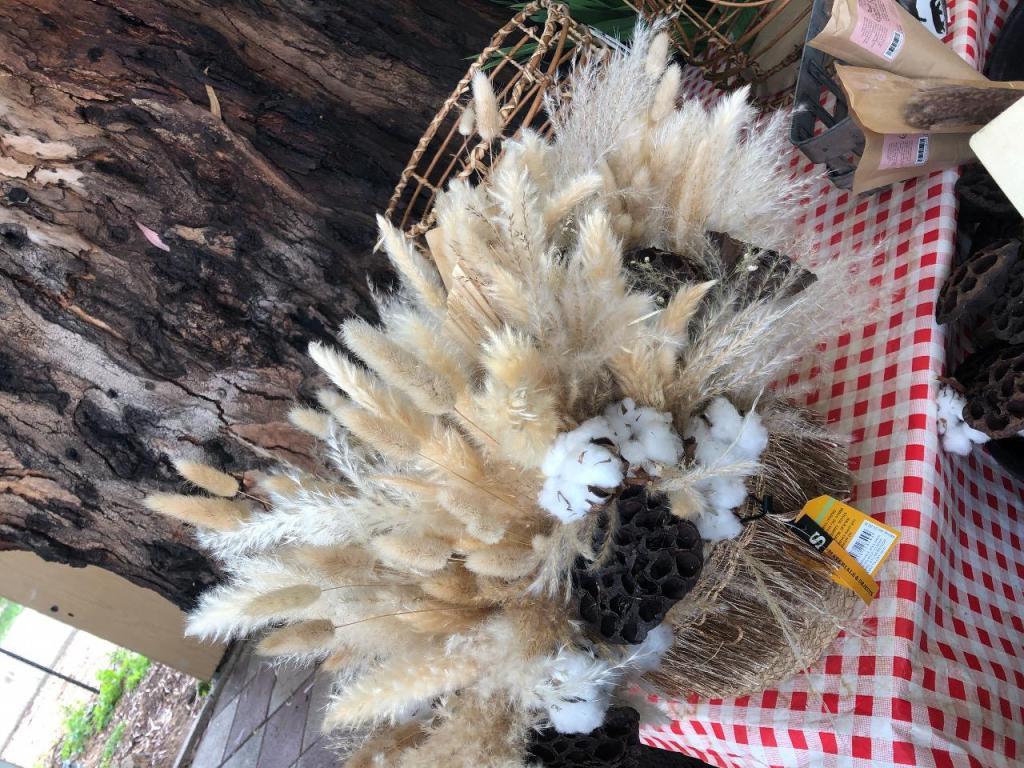 חיים פרחים חיים פרחים