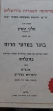 מקס תרגומים