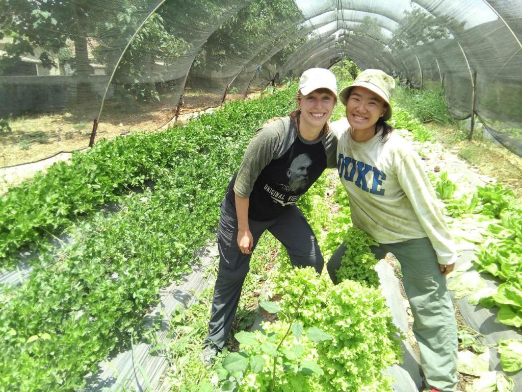 משק בן יהודה משק בן יהודה