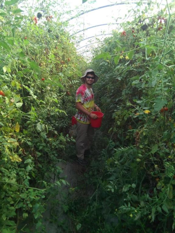 משק בן יהודה משק בן יהודה