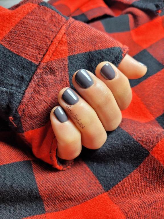 ספיר ברקוביץ ספיר ברקוביץ