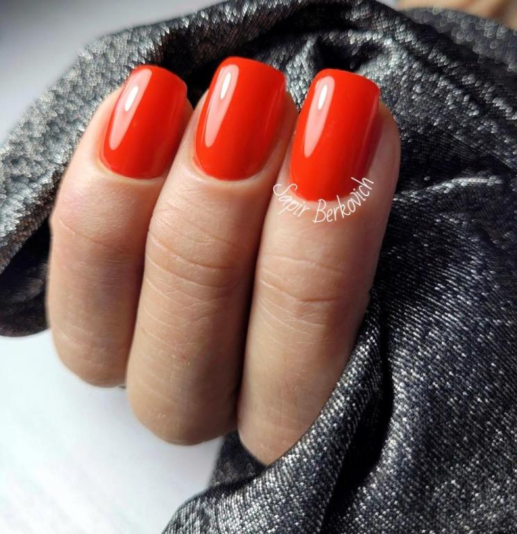 ספיר ברקוביץ ספיר ברקוביץ